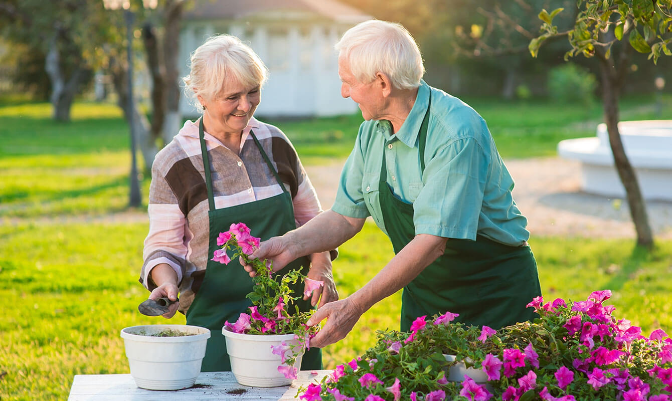 Couple planting flowers